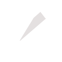 扬州临时保镖服务